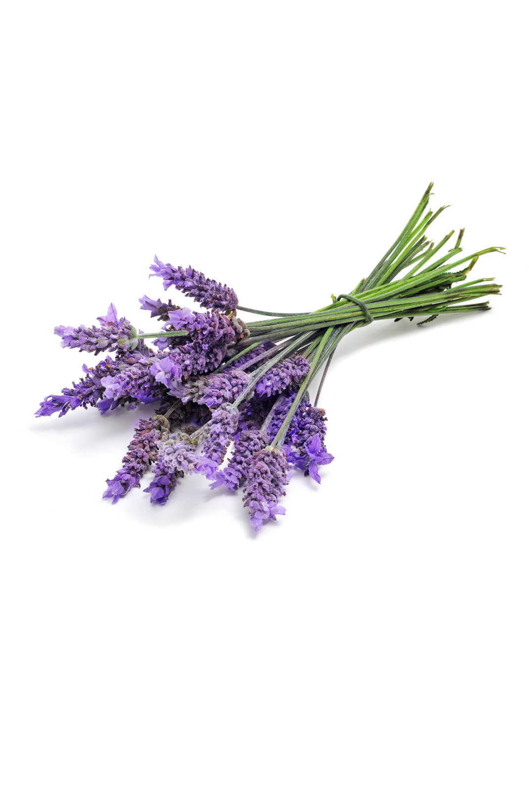 doTERRA Lavender Touch Roll-on - Conveniently promotes relaxation and soothes the skin.