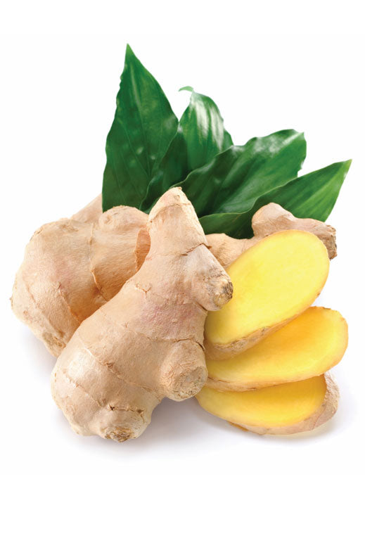 doTERRA Ginger Essential Oil - Supports digestion and relieves nausea.