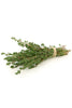 doTERRA Thyme Essential Oil, Supports immune health and respiratory function.