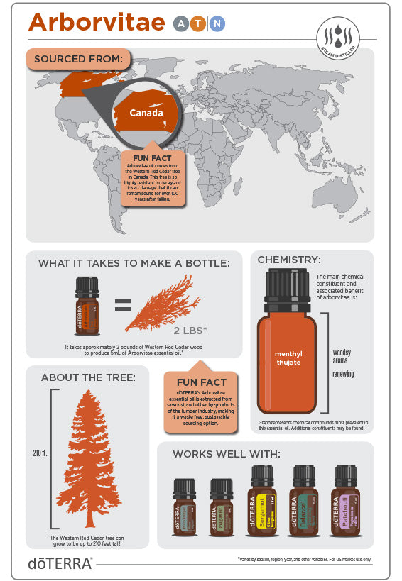 doTERRA Arborvitae Essential Oil - Protects against environmental threats and promotes healthy skin.