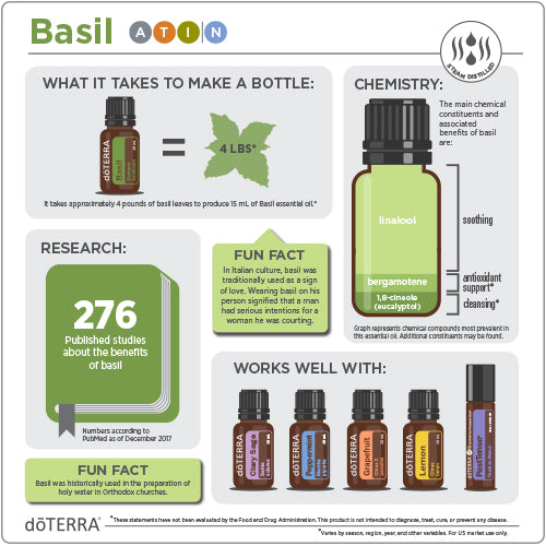 doTERRA Basil Essential Oil, Supports respiratory and digestive health.