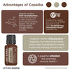 dōTERRA Copaiba Essential Oil – Natural Wellness Support for Mind & Body, pure essential oil 15ml