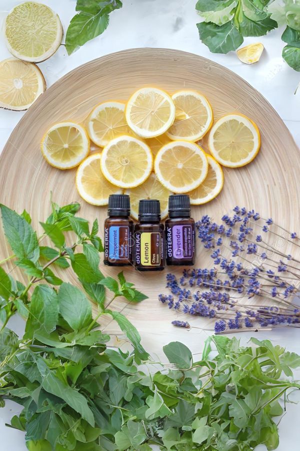 doTERRA Beginner's Trio Kit, Essential oils for everyday use and wellness.