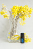 doTERRA Blue Tansy Essential Oil, Uplifts the mood and promotes clear, healthy-looking skin.