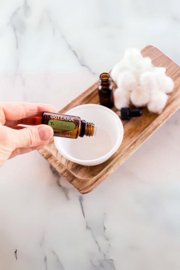 doTERRA Tea Tree (Melaleuca) Essential Oil - Purifies the skin, fights impurities, and supports the immune system.